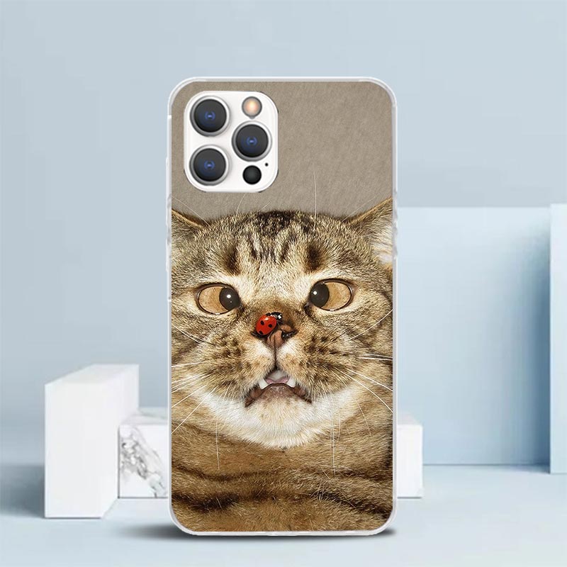 Pet Cat Funny Memes Soft Cover - Phone Cases That Fit Iphone 16E ulasan dan harga
